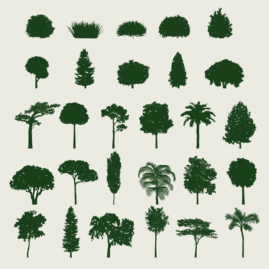 apprendre à reconnaitre les arbres