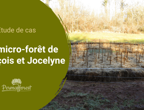Étude de cas : la micro-forêt de François et Jocelyne dans le Doubs