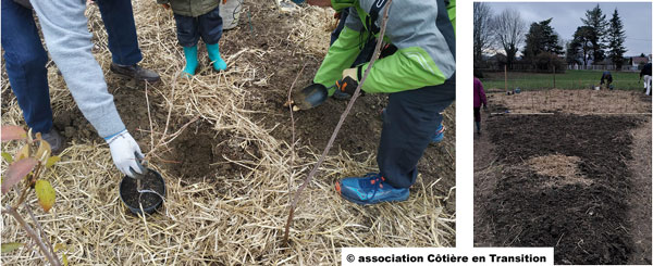 Micro-foret en cours de plantation par l'association Côtière en Transition - membres FONA - des bénévoles et les enfants de l'école.