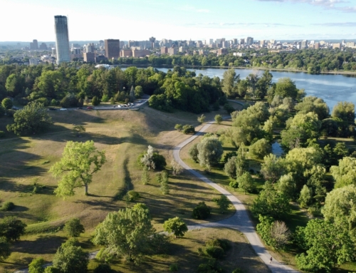 Réchauffement climatique et végétation urbaine : Comment les micro-forêts créent des îlots de fraîcheur