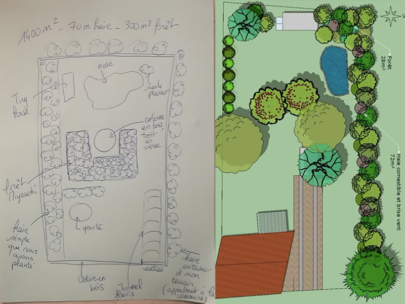 Les 3 strates d'une micro-forêt